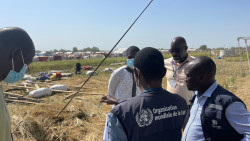 WHO Chad 17 Nov 2022.jpg