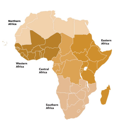 Cidades Unidas e Governos Locais da África (UCLG África)
