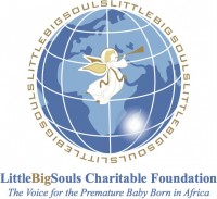 LittleBigSouls International Charitable Foundation