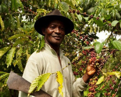 Dadi-Serikpa (1)JJ.jpg