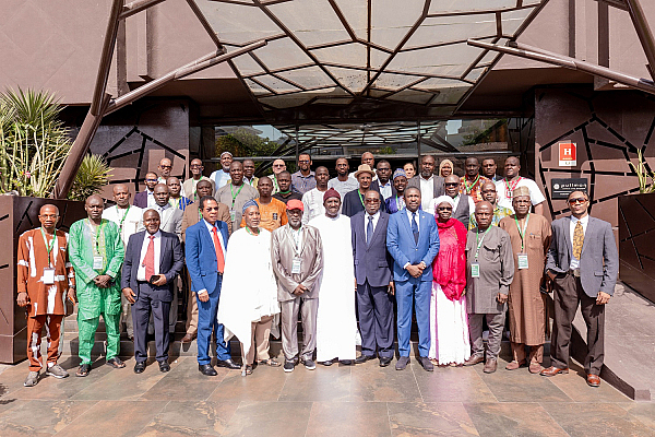 Economic Community of West African States (ECOWAS)