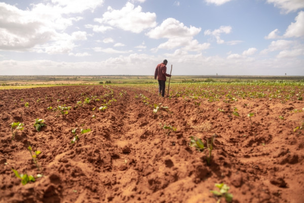 Action Against Hunger