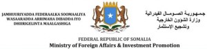 Somali Foreign Minister Receives Senior Turkish Official for High-Level Talks in Mogadishu