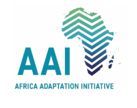 Africa Adaptation Initiative