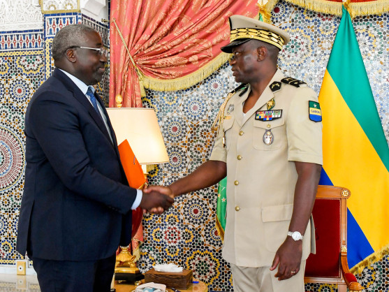 <div>Le Chef de l'État échange avec le bureau du barreau du Gabon</div>