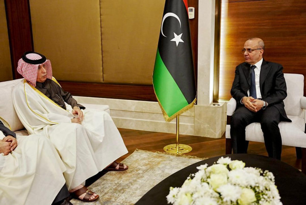 <div>Minister of State for Foreign Affairs Meets Libyan Presidential Council's Vice President</div>