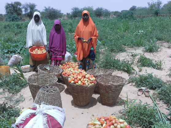 Sahel Alliance's 3rd General Assembly strengthens commitments to Sahelian populations