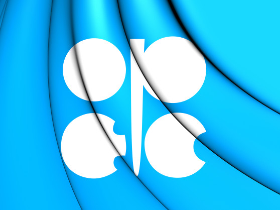 Organization of Petroleum Exporting Countries (OPEC) to Participate at South Sudan Energy Summit