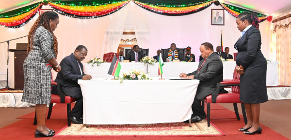<div>Zimbabwe Backs Raila's African Union (AU) Commission Bid</div>