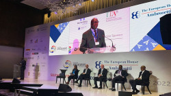 Nhlanhla-Nene-addressing-the-Southern-Africa-Europe-CEO-Dialogue-in-2022.jpeg