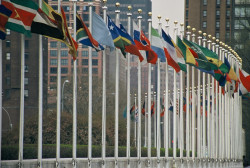 UN_Members_Flags_auto_x2.jpg