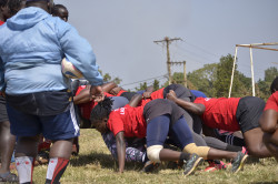 Lady Cranes training.jpg