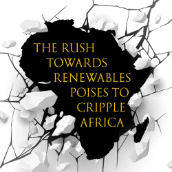 The Rush Towards Renewables Poises To Cripple Africa.jpeg