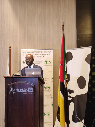 Mozambique: African Development Bank, Green Growth Knowledge Partnership and World Wide Fund for Nature Host Dialogue on Mainstreaming Natural Capital for a Green Economy