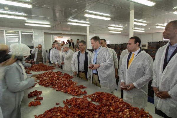 USAID Administrator Kicks Off Farm Productivity Project in Upper Egypt