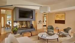 (2) Park Hyatt Penthouse Suite.jpg