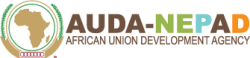 AUDA-NEPAD.png