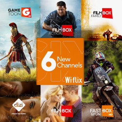 Wiflix  SPI_final artwork_.jpg