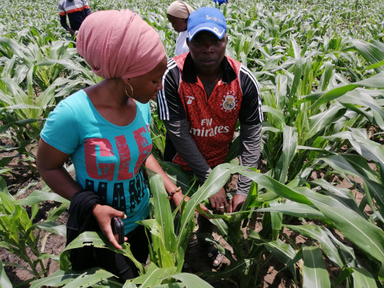 African Development Bank Group (AfDB)