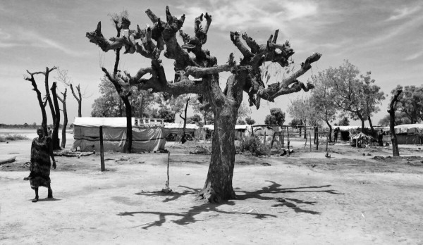 Leer County: Relative calm resumes after waves of brutal violence, but humanitarian situation dire