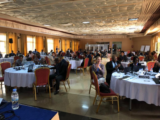 PEN-Plus Meeting in Kigali – The management and treatment of non-communicable diseases at primary levels strengthened