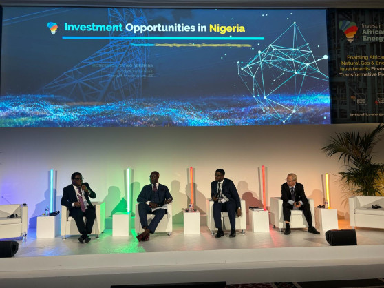 Nigeria Relaunches Licensing Round, Shares 2024 Investment Prospects at Invest in African Energy (IAE) 2024