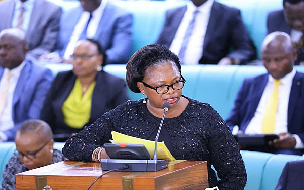 Uganda: Ministerial proposal on special land titles divides MPs
