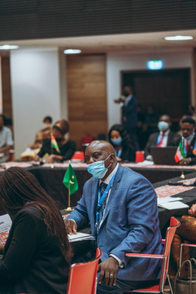 African Petroleum Producers Organization (APPO)