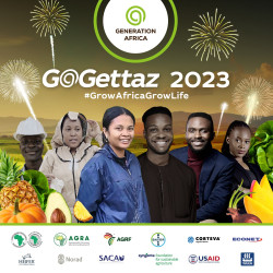 Gogettaz 2023 - Option 1 (002).jpg