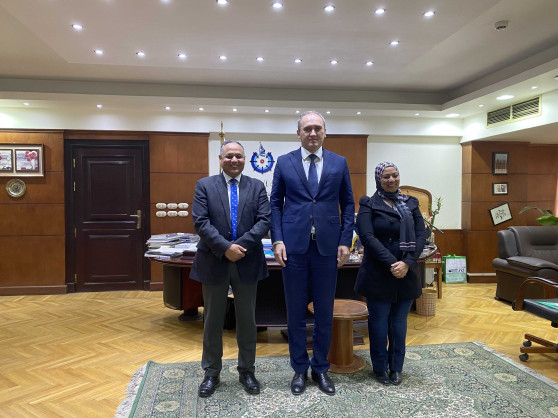 Embassy of the Republic of Belarus to the Arab Republic of Egypt