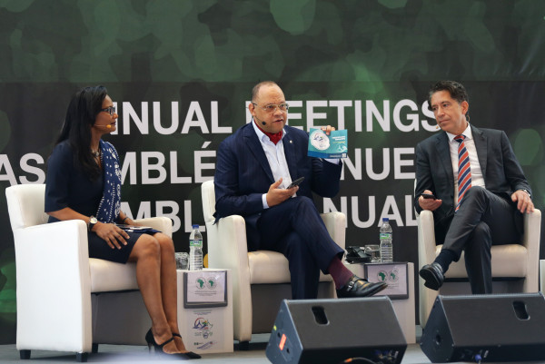 Despite challenges, Africa's debt is still under control says African Development Bank