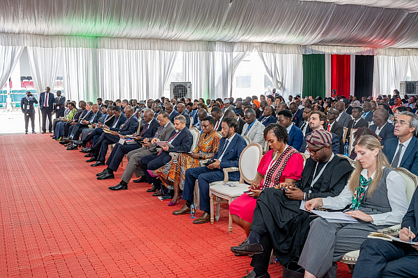 Eritrea participates in Africa Commerce and Industry Summit
