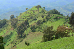 Stock-image-of-the-Rift-Valley.jpg