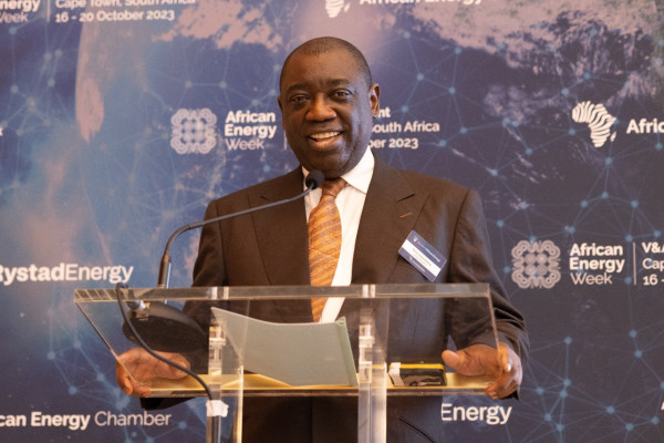 Transition to Green Energy Must be Sensible, Pragmatic and Rational, Says Afreximbank’s Rene Awambeng