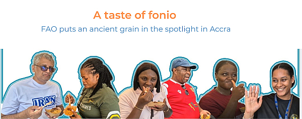 A taste of fonio: Food and Agriculture Organization of the United Nations (FAO) puts an ancient African grain in the spotlight in Accra