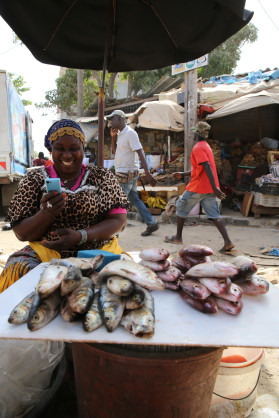 Senegal: Digitizing payments could add FCFA 104 billion to GDP every year