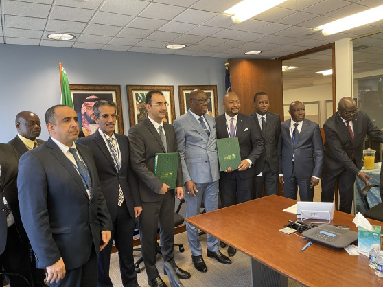 Saudi Fund for Development