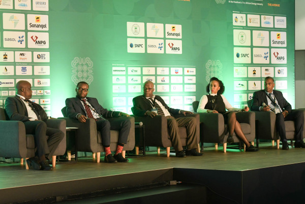 South Africa: Transitioning from Coal Reliance to Gas Power Generation