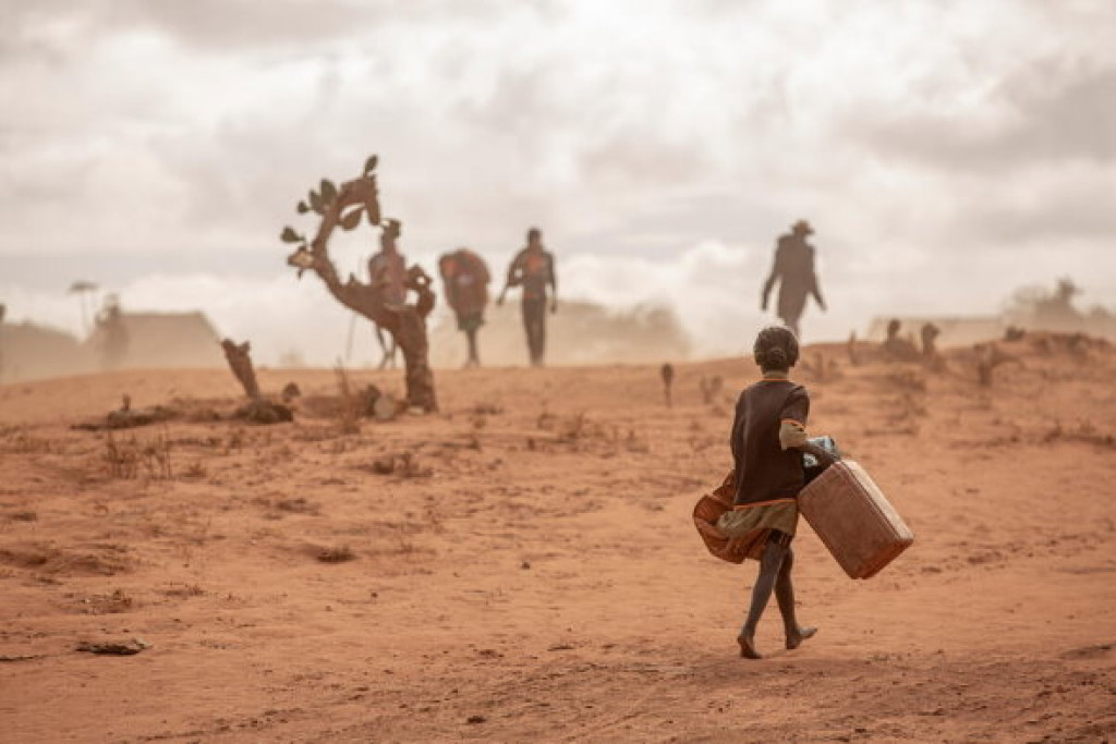 Unprecedented hunger to follow in wake of the climate crisis, WFP calls for urgent action on World Food Day