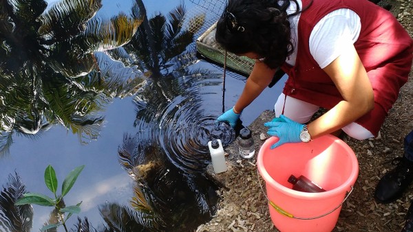 Isotopes Help Trace the Origin of Urban Water Pollution in Mauritius