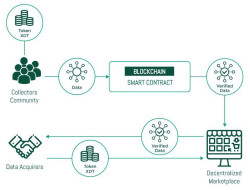 Dataeum First Blockchain Solution that Produces 100% Accurate Data through Crowdsourcing.jpg