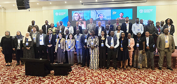 African countries to advance cooperation with Food and Agriculture Organization of the United Nations (FAO) in the implementation of Convention on International Trade in Endangered Species of Wild Fauna and Flora (CITES) for sustainable international trade in marine species