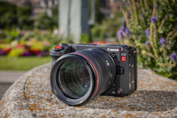 Canon-EOS-C50-2.jpg