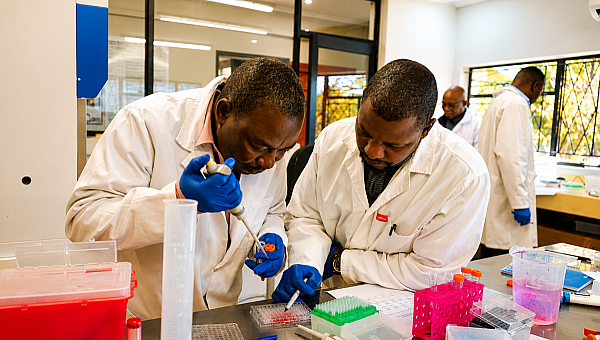 Food and Agriculture Organization of the United Nations (FAO): Regional Office for Africa
