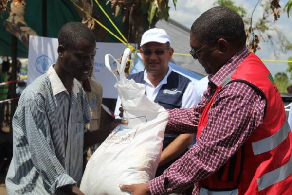 Food and Agriculture Organization (FAO) starts distribution of much-needed seeds and tools in cyclone-ravaged Mozambique