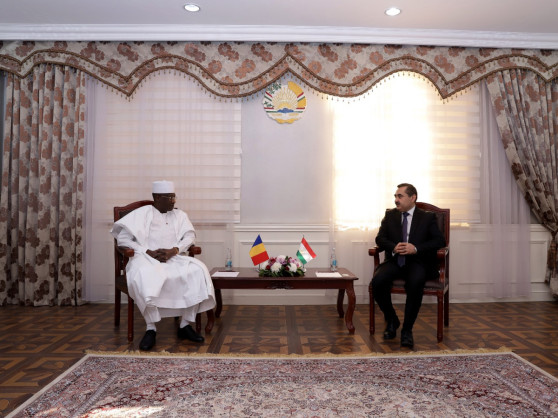 Tajikistan: Deputy Foreign Minister received the copies of Credentials of the Ambassador of the Republic of Chad