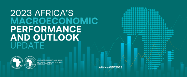 African Development Bank Revises Economic Forecast for Africa downwards amid continued global shocks