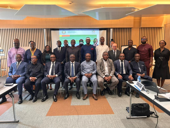 African Development Bank Group (AfDB)