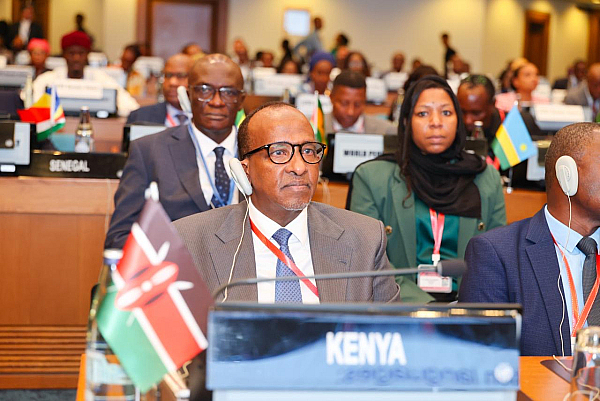 Kenya Calls for Action to Build a Self-Reliant African Health Sector
