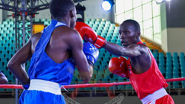 Kenya Defence Forces (KDF) Boxers Deliver Six-Medal Punch at African Championships